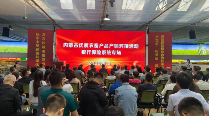 1749173101188436.png image.png