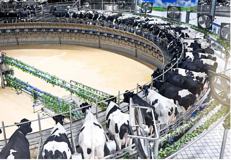 1762391902767945.png image.png