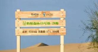 亿利公益基金会与蚂蚁金服进行荒漠化治理